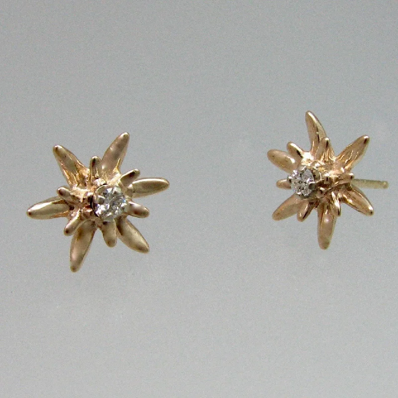 Skewed gem earrings-Edelweiss Jackets Small